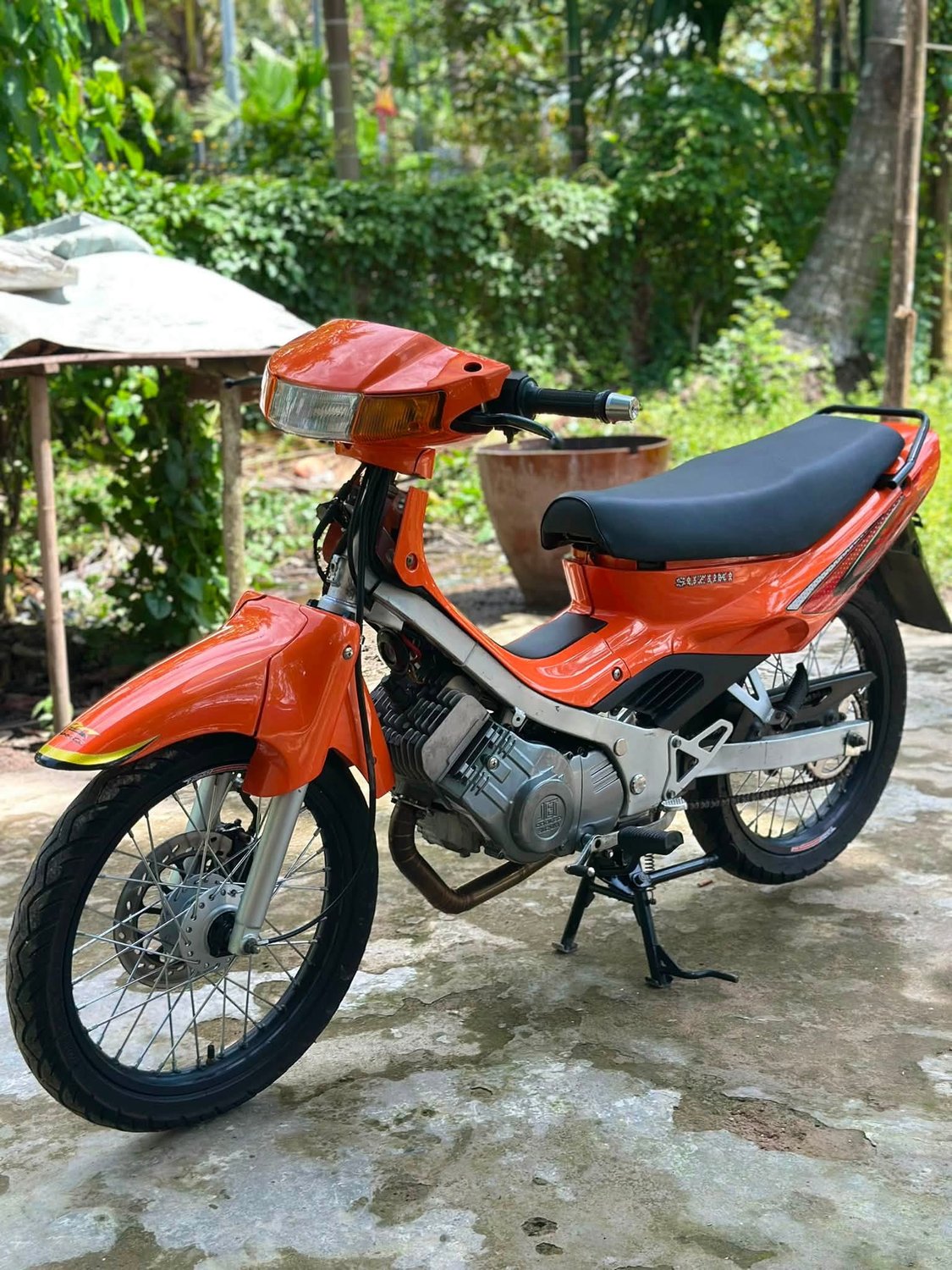 Suzuki Sport Xipo Cam – Collector Style